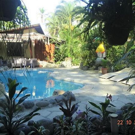 Hotel Caribbean Coconut Cahuita Εξωτερικό φωτογραφία