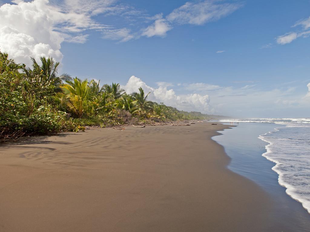 Hotel Caribbean Coconut Cahuita Εξωτερικό φωτογραφία