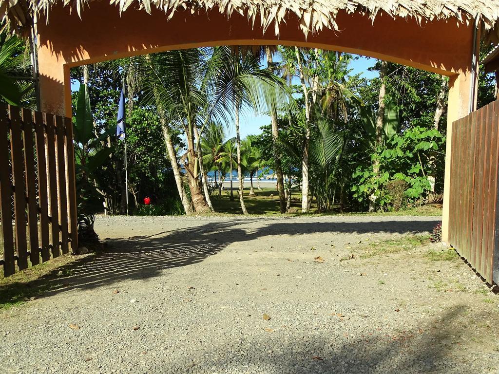 Hotel Caribbean Coconut Cahuita Εξωτερικό φωτογραφία
