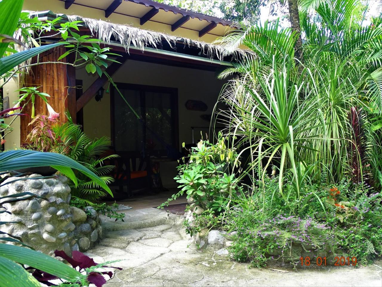 Hotel Caribbean Coconut Cahuita Εξωτερικό φωτογραφία