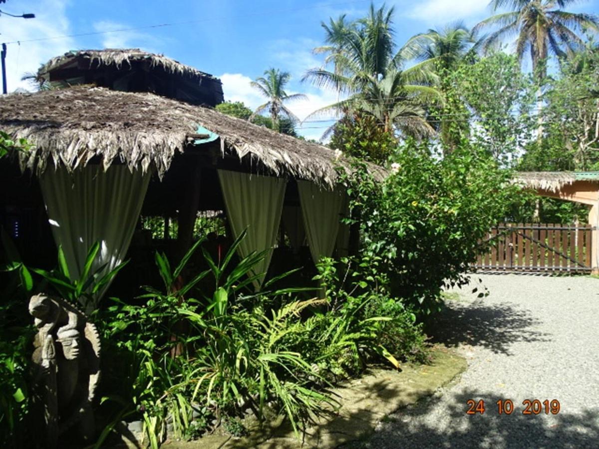 Hotel Caribbean Coconut Cahuita Εξωτερικό φωτογραφία